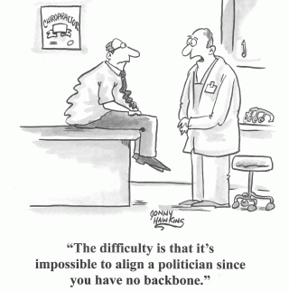 chiropractic approach to politics