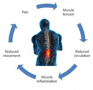 stress pain cycle and chiropractic