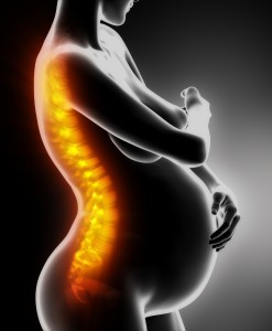 pregnancy low back pain