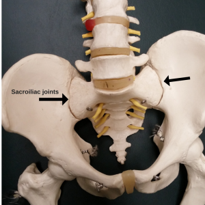 pelvic pain