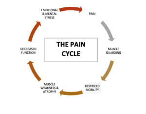 Muscle guarding and pain cycle