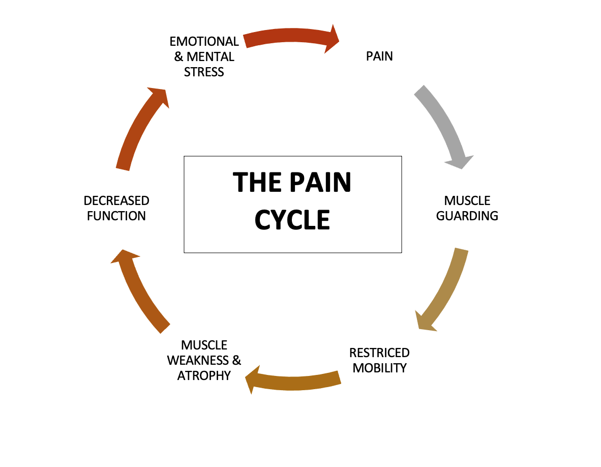 Muscle Guarding & The Pain Cycle - Dr. Martin Schmaltz