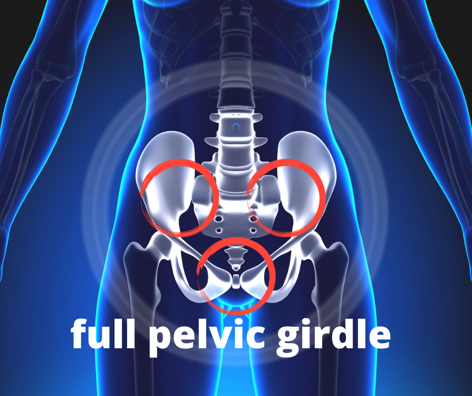 full pelvic girdle - Dr. Martin Schmaltz